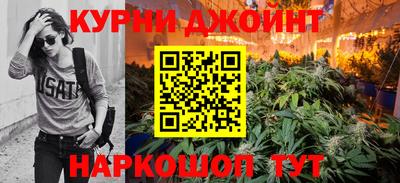 гидра Беслан