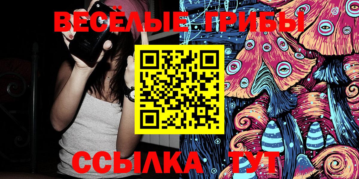 Знаменск  купить наркотики сайты  Вход с VPN  Псилоцибиновые грибы ЛСД 